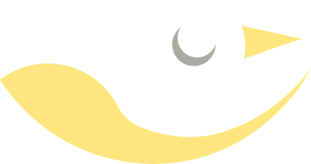 Bemtevy
